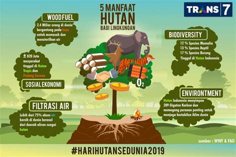 Contoh pidato hari buruh sedunia. TRANS7 | Yuk Mengenal Manfaat Hutan Di Hari Hutan Sedunia!