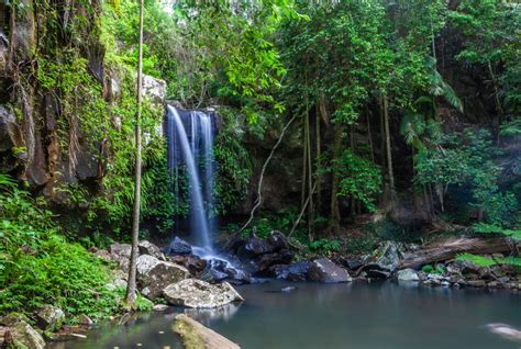 Stunning Waterfalls In The Gold Coast Hinterland Australia Your Way