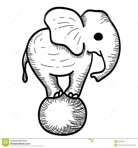 Cute Cartoon Elephant Standing On A Ball Stock Vector