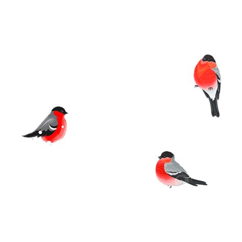 Cute Red Bird Clipart Transparent Background Red Bird Birdie Bird
