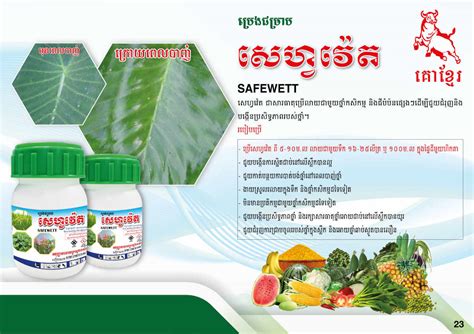 Dynamic Group Cambodia Adjuvant