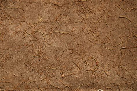 图片素材 砂 岩 木 质地 叶 地板 树干 模式 泥 材料 地质学 雕刻 古代历史 3888x2592