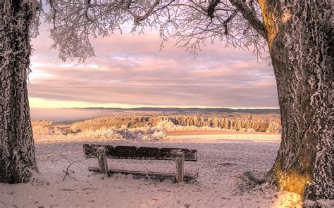 3840x2160px Free Download Hd Wallpaper Winter Snow Nature Bench