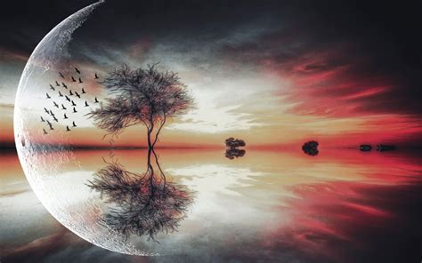 Beautiful Moon Above The Tree Wallpaper Creative And Fantasy