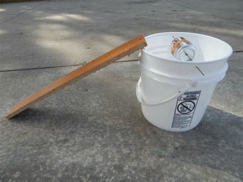 Diy mouse trap without the mess. Homemade Mouse Trap - Humane Bucket Trap