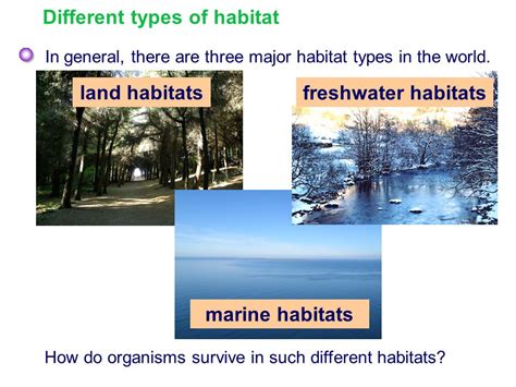 What Is Habitats What Is A Habitat Theschoolrun — Wellhouse Church