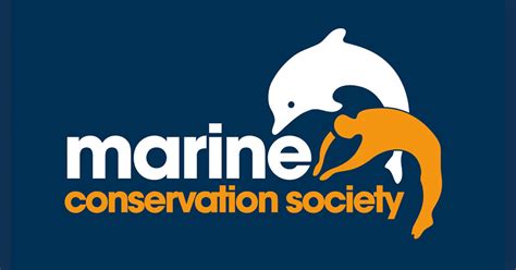 Job Opportunity Head Of Fisheries With The Marine Conservation Society