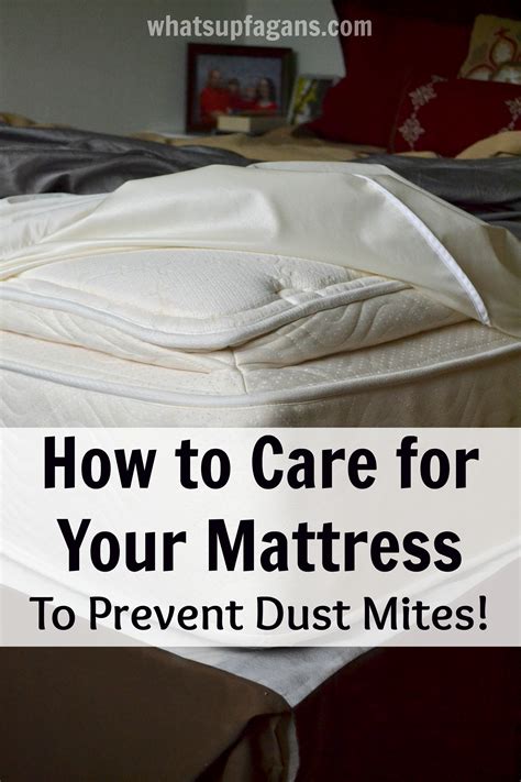 Dust mites are microscopic creatures that feed on dead human skin cells. The Truth About Buying and Caring for a Mattress