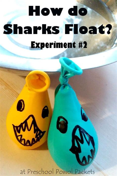 How Sharks Float Science Experiment Part 2 Ocean Theme Preschool