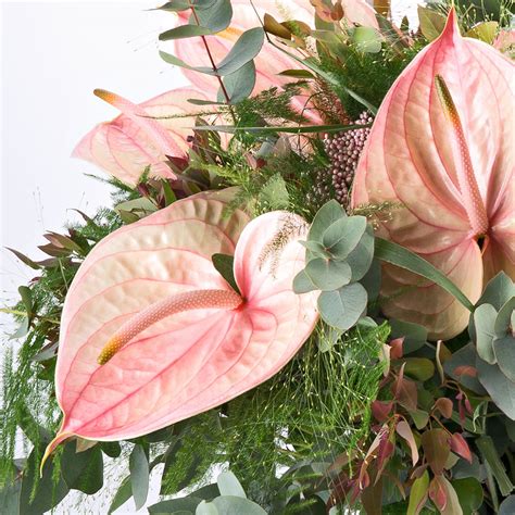 226 x 301 jpeg 10 кб. Anthurium Festival Bouquet - Delivery in Germany by ...