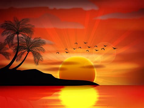 Sunset Sea Paradise Tropical Island Palms Silhouette Birds Sea Sunset ...