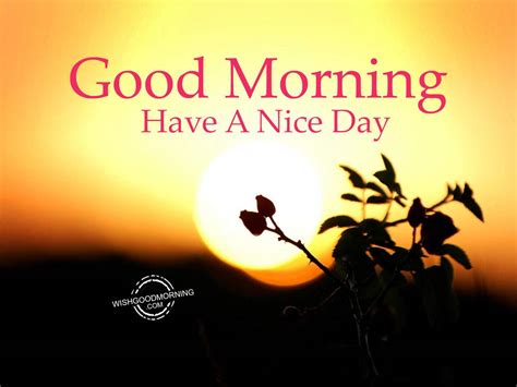 Good Morning Wishes Good Morning Pictures