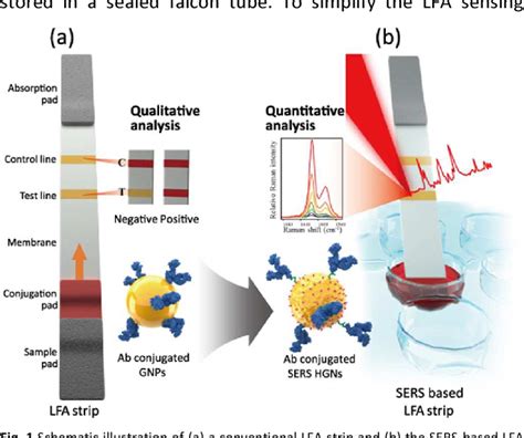 Figure From Application Of A SERS Based Lateral Flow Immunoassay Strip For The Rapid And