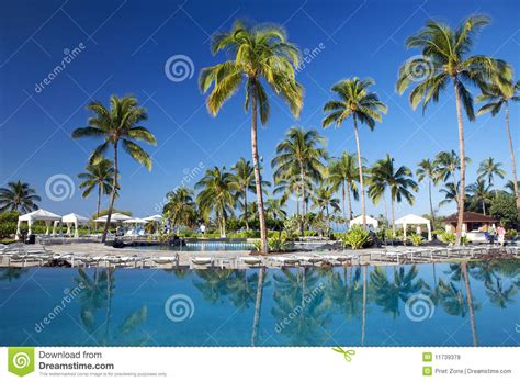 Tropical Landscape In Spa Resort Stock Photo Image Of