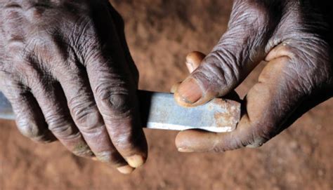 Bringing To Life The Case Against Female Genital Mutilation News