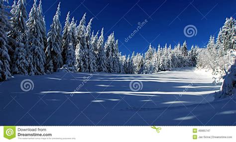 Winter Meadow With Shelter And Forest Around Stock Image Image Of