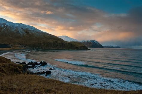 David Newsom Pictures Wild Horses Of Summers Bay Unalaska