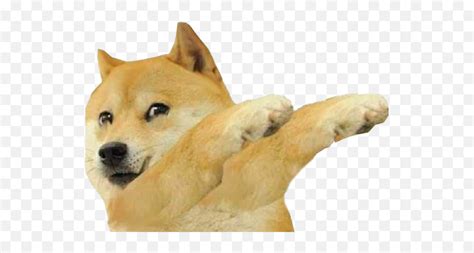 Upload only your own content. Swole Doge Transparent Cheems Png : Baby Doge Png : May 26, 2020 at 12:25pm edt in reply to kaye ...