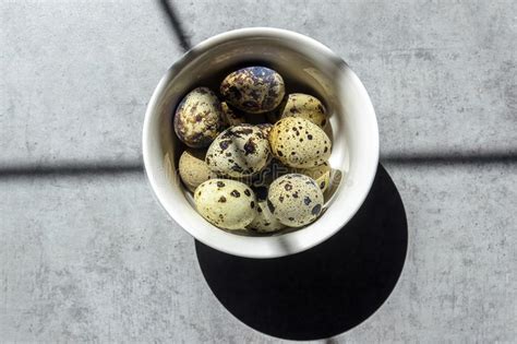 Find this pin and more on easter by sharon sullivan. Easter Quail Eggs In Brown Bascket Stock Photo - Image of ...