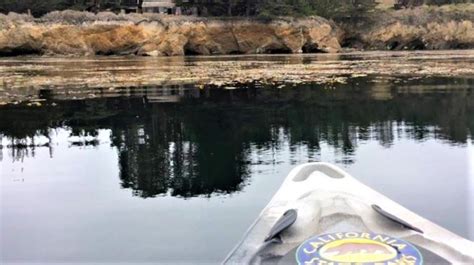 Meet A State Park Interpreter At Point Lobos California State Parks Week