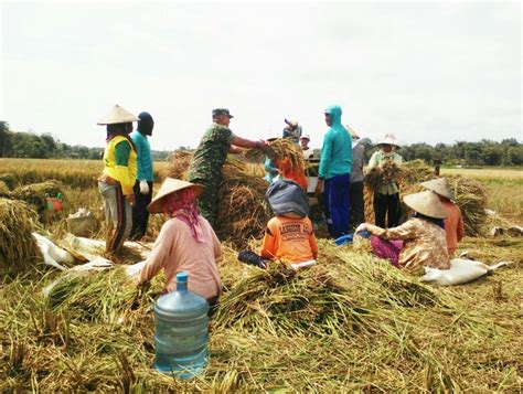 Contoh Kegiatan Produksi Distribusi Imagesee