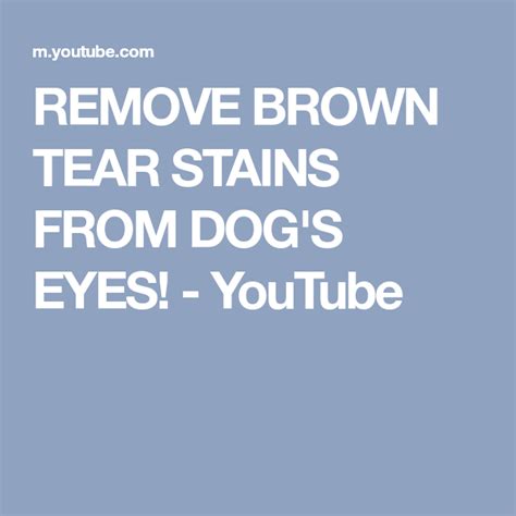 Maybe you would like to learn more about one of these? REMOVE BROWN TEAR STAINS FROM DOG'S EYES! - YouTube (With images) | Dog eyes, Tear stains