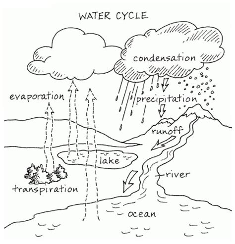 Free Printable Water Cycle Coloring Page Just Need A Break Quotes