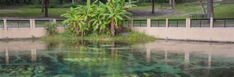 There are usually coffee filters. Salt Springs | Ocala National Forest | Florida Hikes