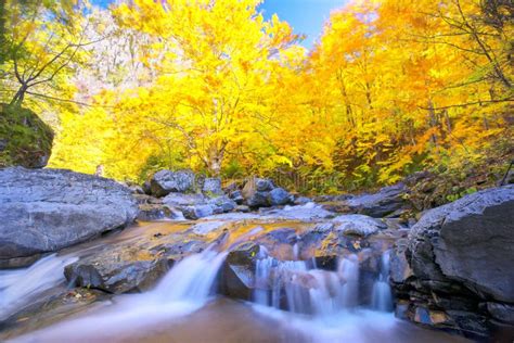 Beautiful Waterfall In Autumn Season Stock Photo Image Of Leaves