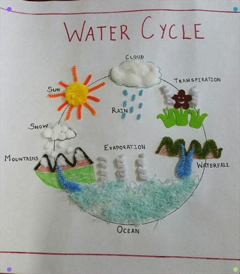 9 Best Of Water Cycle Diagram 3d Model