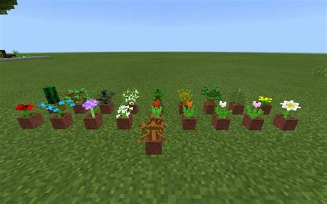 Cactuses can be used for so many wonderful things, so why not create a back wall so that the water does not get out of control. Building Advice: Part 2: Plants | Minecraft Amino