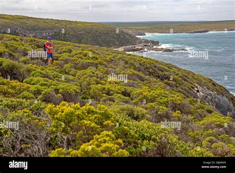 Hiking On The Kangaroo Island Wilderness Trail Stock Photo Alamy