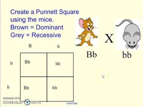 Hi, and welcome to this video on punnett squares! Punnett Square Notes - YouTube