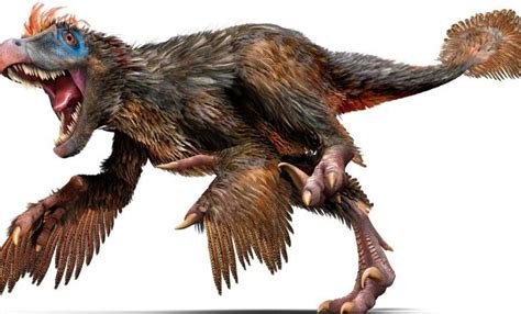 13 Valiant Facts About Velociraptors The Fact Site