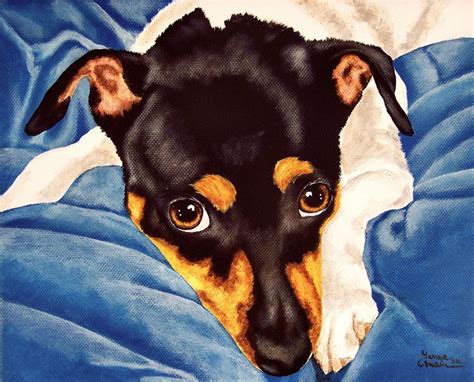 73 Art Wallpapers For Free Rat Terrier Art Rat