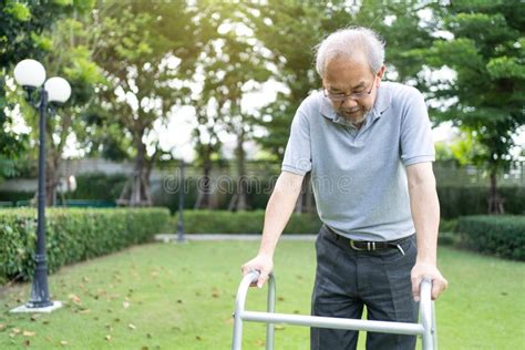 Asian Senior Elderly Disabled Man Patient Walking Slowly With Walker Or