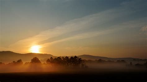 Download Fog Dawn Landscape Tree Nature Sunrise Hd Wallpaper