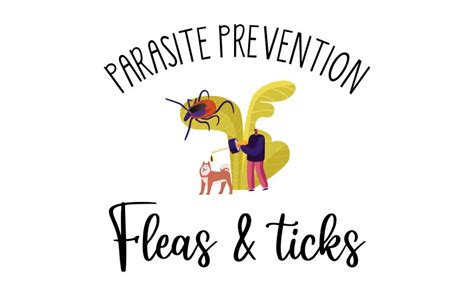 Parasite Prevention Fleas And Ticks Healthy Pet Guide