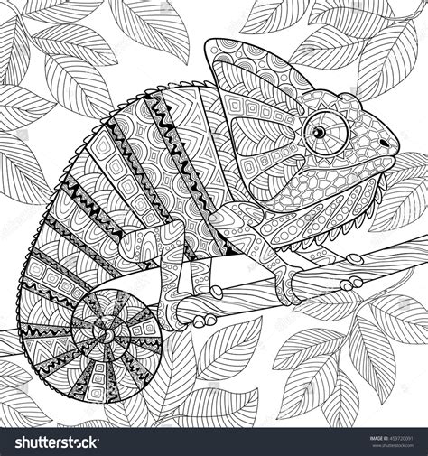 Chameleon Zentangle Style Adult Antistress Coloring Stock Vector