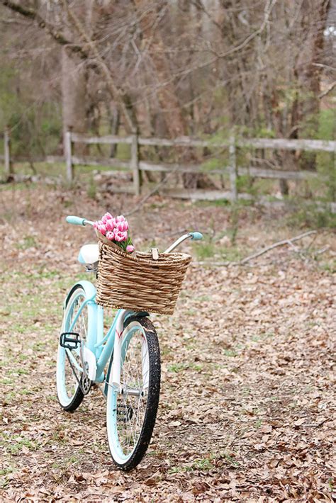 I love a good bike basket. DIY Bike Basket - Darling Darleen | A Lifestyle Design Blog