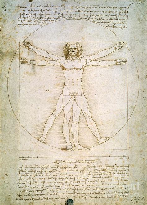 Leonardo Da Vinci Style