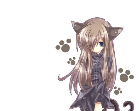 Cat Anime Girl
