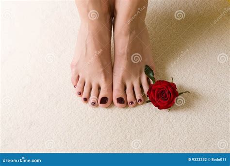 schöne füße stockfoto bild von blume finger frech massage 9323252