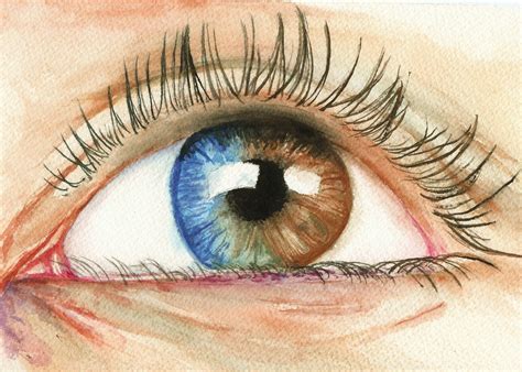 Cosmetic Eye Surgery Turns Brown Eyes Into Blue
