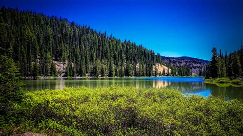 Todd Lake Landscape In Oregon Image Free Stock Photo