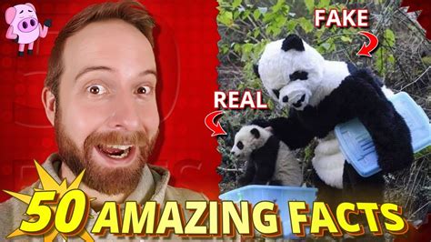 50 amazing facts you won t believe are true youtube