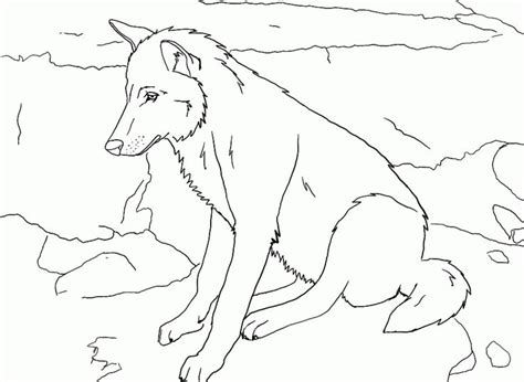 Wolf Drawing Outlines At Getdrawings Free Download
