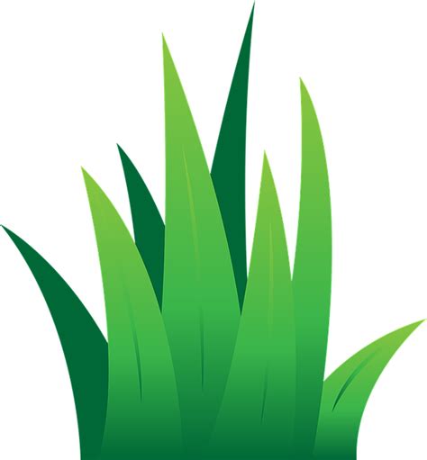 Imagen Gratis En Pixabay Cesped Green Verde Grama Grass Molde