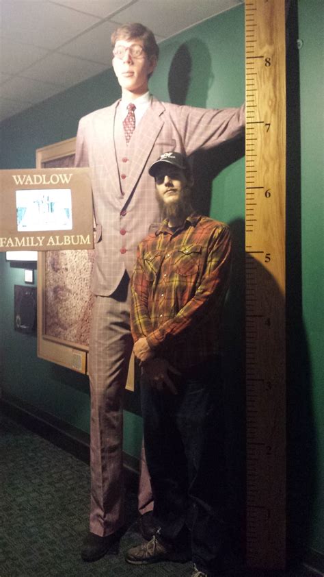 The result is the following: 6'6 next to Robert Wadlow 8'11 : tall