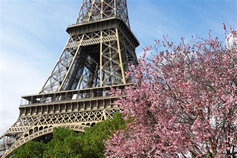 Spring At The Eiffel Tower 26 Copyright French Moments French Moments
